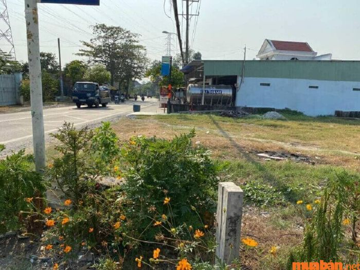 Đất ngộp là gì?