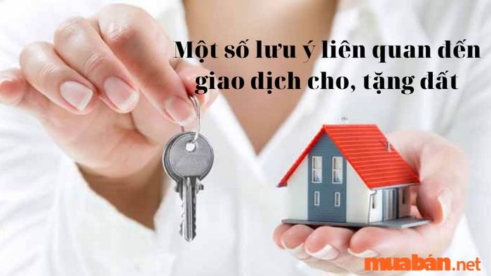 mẫu đơn tặng đất cho con