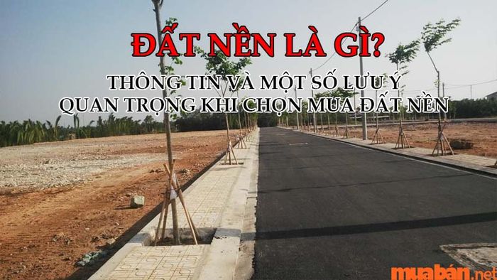Đất nền là gì? Những thông tin và lưu ý quan trọng khi quyết định mua đất nền