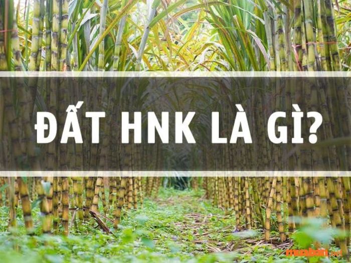 HNK là loại đất gì?