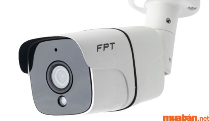 Việc lắp đặt camera an ninh là cần thiết nếu bạn dự định thiết kế nhà vừa ở vừa kinh doanh.