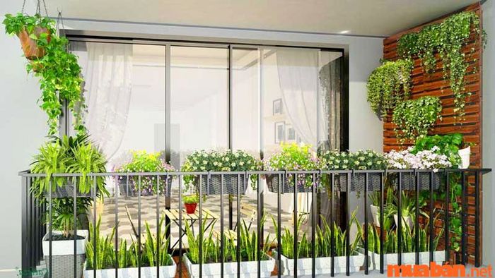 Bày trí nhiều cây xanh ở tầng tum