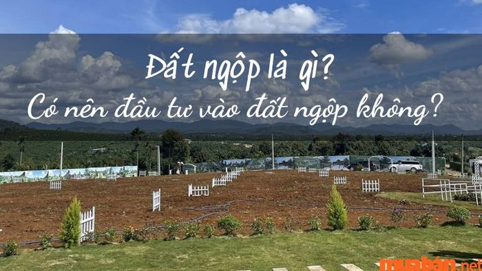 Đất ngộp là gì? Có nên tìm mua những lô đất ngộp đang được rao bán không ít?