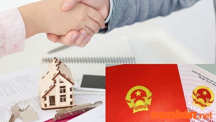 mẫu chứng nhận quyền sử dụng đất