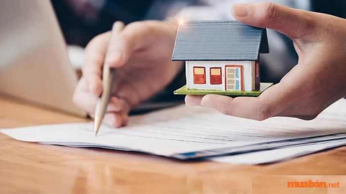 Hợp đồng chuyển nhượng quyền sử dụng đất