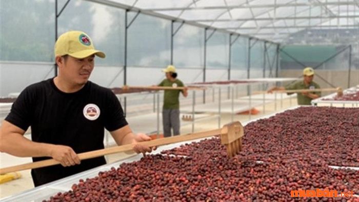 LNC giúp nâng cao đời sống nhân dân và phát triển kinh tế quốc gia