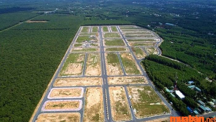 Đất nền là gì? Đất nền là loại đất đã được phân lô và chưa có công trình xây dựng.