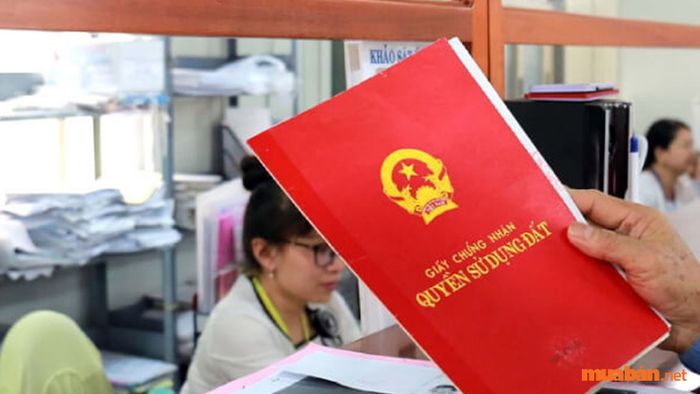 Cấp giấy chứng nhận quyền sử dụng đất