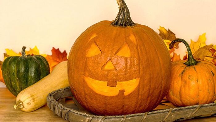 Địa chỉ mua bí ngô Halloween