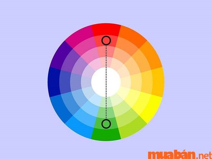 Lựa chọn 2 màu đối lập cho sơn nhà ống