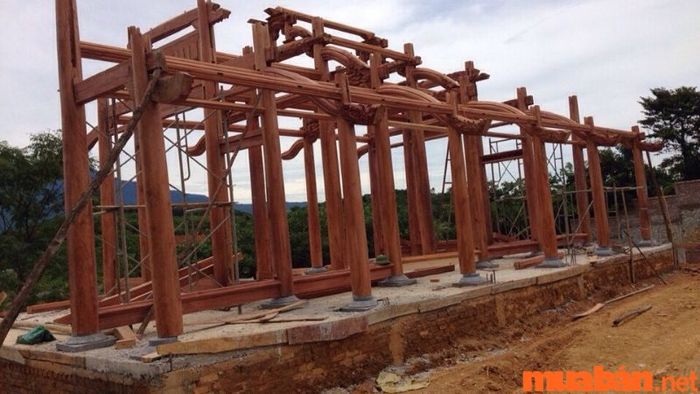 Các loại gỗ dùng trong xây dựng nhà