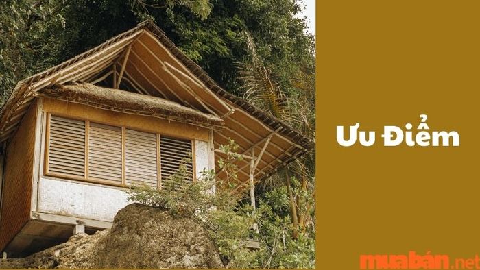 Lợi ích của nhà gỗ cấp 4