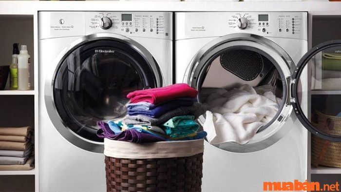 Có mặt bằng nên kinh doanh gì?