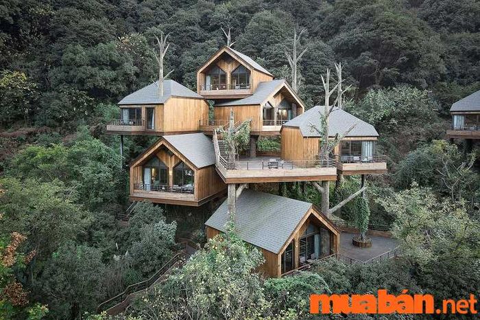 Nhà tre homestay và resort