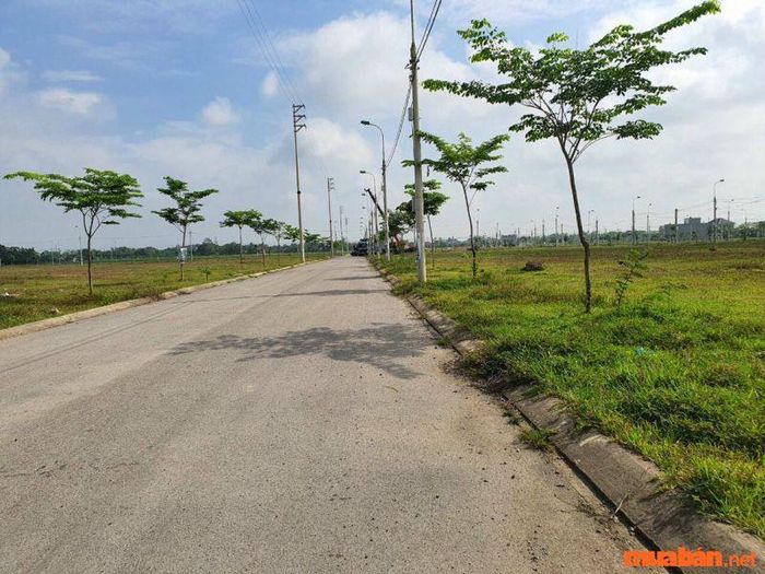 Khám phá kỹ năng môi giới bất động sản qua các trang web trung gian