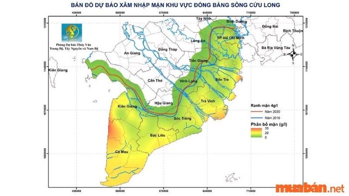 Bản đồ các vùng đất và mức độ ngập mặn ở Đồng bằng Sông Cửu Long