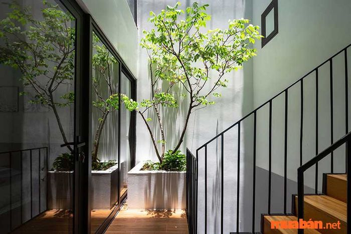 Việc bố trí giếng trời ở phía sau ngôi nhà thóp hậu sẽ giúp gia tăng sinh khí