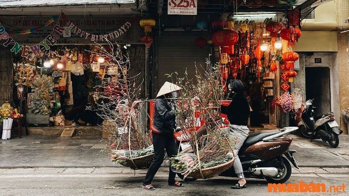 Chụp ảnh Tết tại khu phố cổ Hà Nội