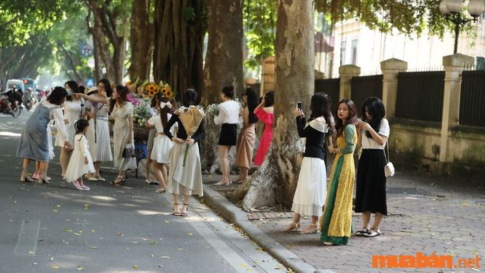 Chụp ảnh Tết tại đường Phan Đình Phùng
