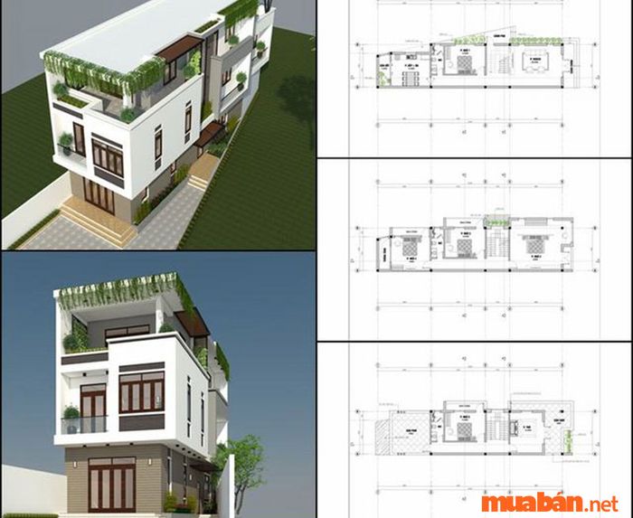 Ngôi nhà thóp hậu có hình thang với mặt bằng nằm ngang.