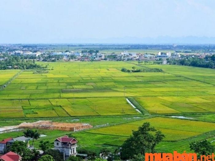 Thời gian sử dụng đất trồng cây hàng năm BHK