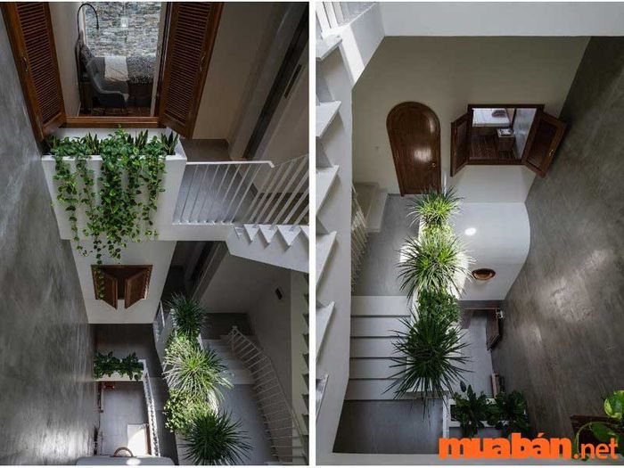 Nhà lệch tầng