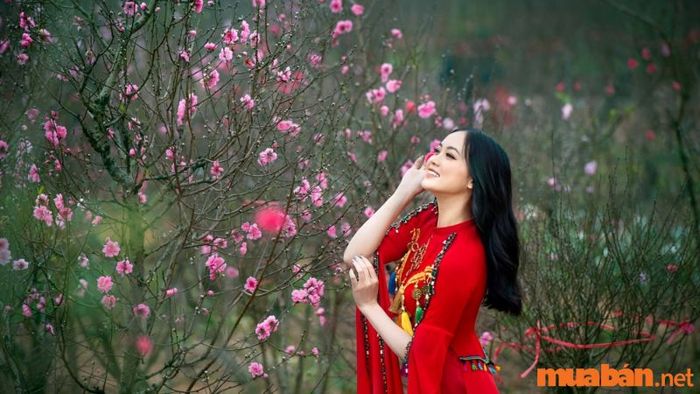 Chụp ảnh Tết tại Vườn đào Nhật Tân