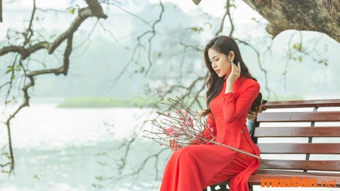 Chụp ảnh Tết tại Hồ Hoàn Kiếm
