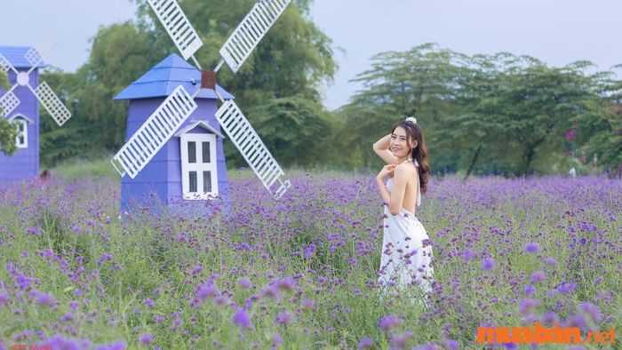 Chụp ảnh Tết tại thảo nguyên hoa Long Biên