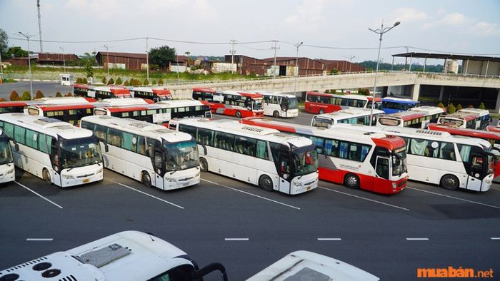Vé xe Đà Nẵng đến Phú Yên mới nhất | TOP 7 nhà xe hàng đầu chất lượng