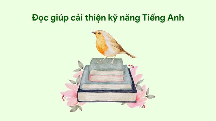 Mối quan hệ giữa thói quen đọc và nâng cao kỹ năng tiếng Anh