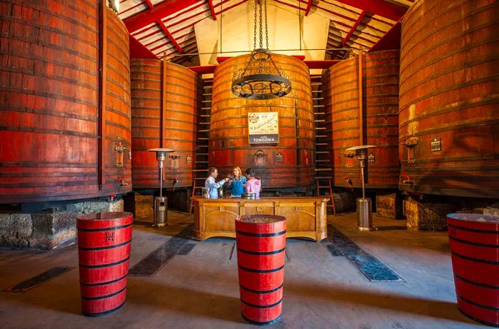 A few people standing behind a bar surrounded by large wooden barrels