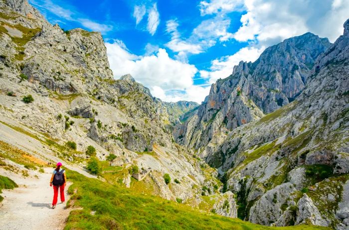 A woman on a trail gazing at rocky mountain peaks
