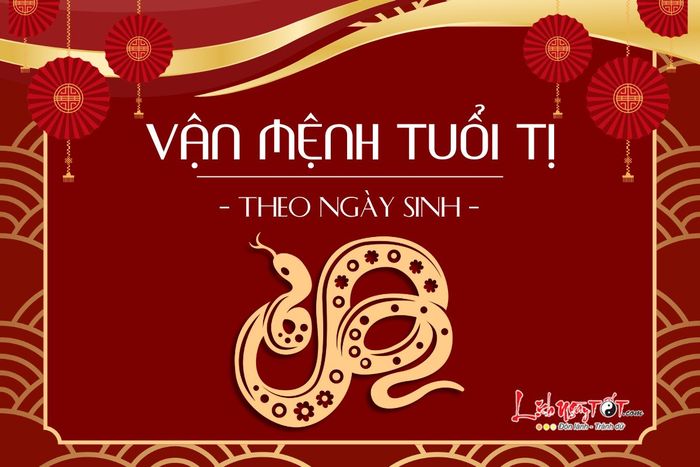 Vận mệnh của người tuổi Tị theo ngày sinh