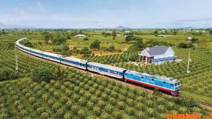 Cập nhật giá vé tàu từ Sài Gòn đến Phan Thiết và kinh nghiệm tìm vé giá rẻ