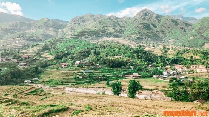 Tháng 10 đến tháng 12 là thời gian lý tưởng để tham quan bản Tả Van