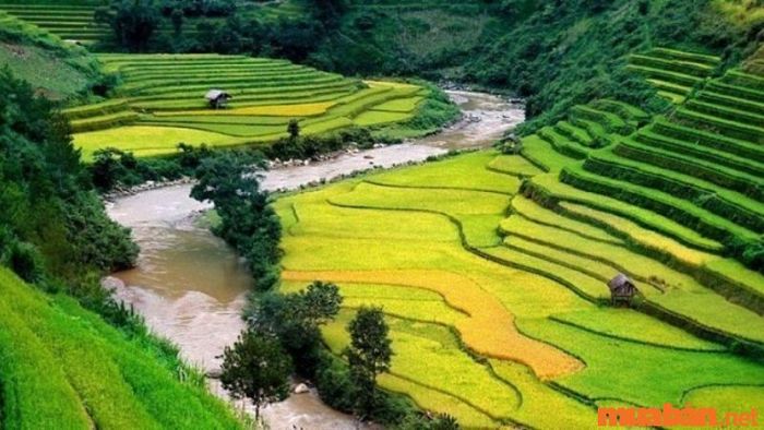 Khi di chuyển qua Mường Hoa và Cầu Mây, du khách sẽ thấy bản Tả Van Sapa Lào Cai xuất hiện trước mắt