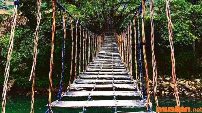 Cầu Mây nằm giữa khung cảnh thiên nhiên hùng vĩ của Tả Van, mang đến vẻ đẹp giản dị và gần gũi