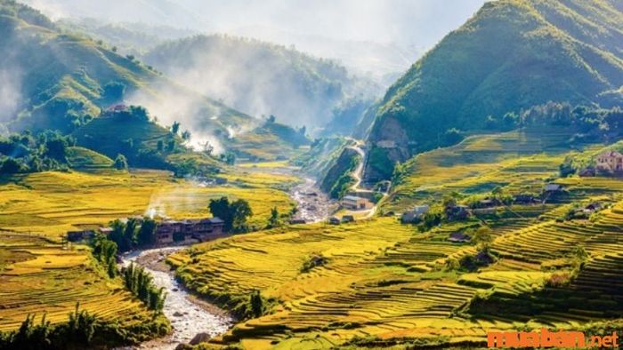 Bản Tả Van là một cộng đồng dân tộc nhỏ tọa lạc tại xã Tả Van, huyện Sapa, tỉnh Lào Cai