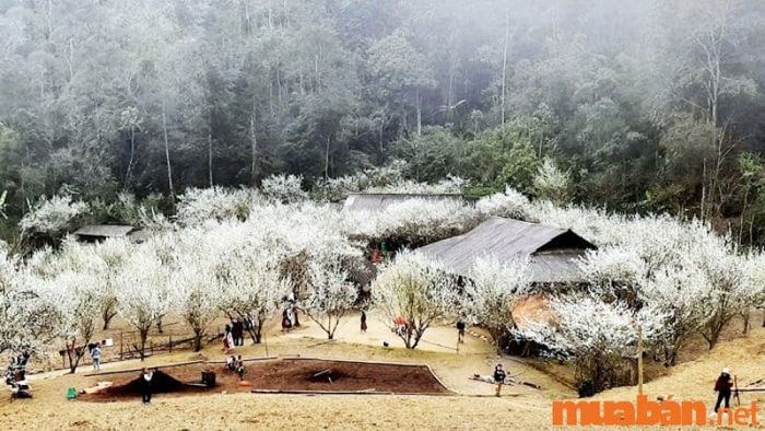 Tả Van trong khoảng thời gian từ tháng 12 đến tháng 2 mang đến không khí lạnh giá