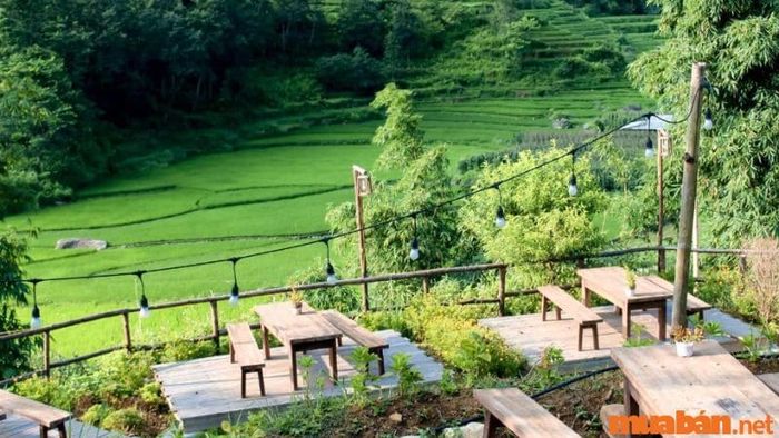 De Amor House & Coffee có một view tuyệt đẹp với màu xanh tươi mát.