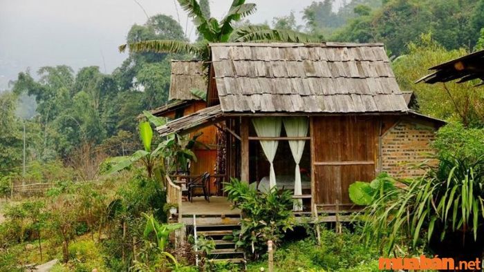 Cơmlam Eco House là một homestay dễ thương, hòa hợp với thiên nhiên xung quanh
