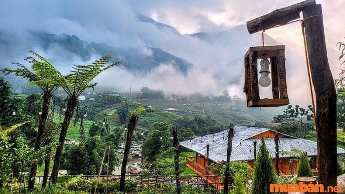 De Amor House & Coffee là một homestay với thiết kế vintage và màu sắc nhã nhặn, tạo nên không gian ấm cúng.