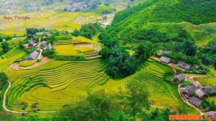 Bản Tả Van được thiên nhiên tươi đẹp ôm ấp, tạo cho du khách một không gian thư giãn yên bình