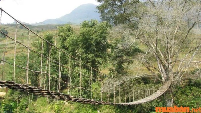Cầu Mây ở bản Tả Van - Cây cầu có thiết kế độc đáo bắc qua dòng suối Mường Hoa.