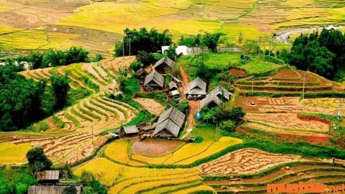 Từ những mái nhà tranh đơn sơ ở Tả Van, bạn có thể ngắm nhìn dòng suối Mường Hoa lững lờ chảy qua bản làng.