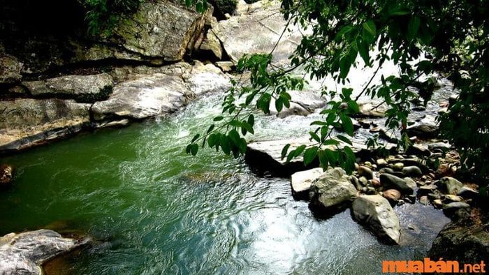 Suối Mường Hoa được ví như một nàng thơ xinh đẹp, dịu dàng giữa núi rừng Tây Bắc hùng vĩ.