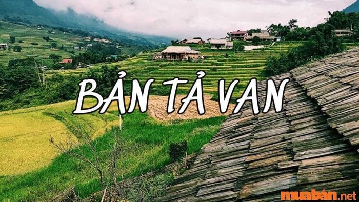 Khám phá bản Tả Van - Vẻ đẹp yên tĩnh giữa núi rừng Tây Bắc