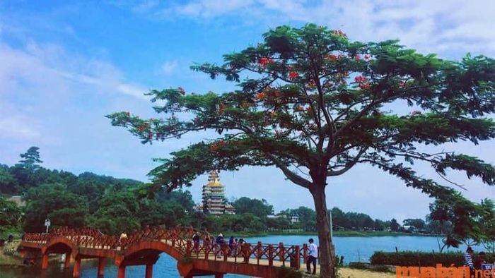 Khám phá hơn 10 địa điểm check-in nổi tiếng ở Hà Tiên mà bạn nên ghé thăm một lần