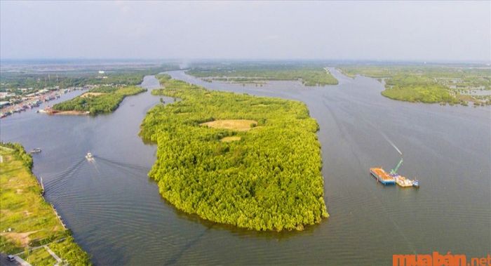 Khi đến Đầm Đông Hồ, bạn sẽ được trải nghiệm hệ sinh thái trong lành và đa dạng nơi đây.